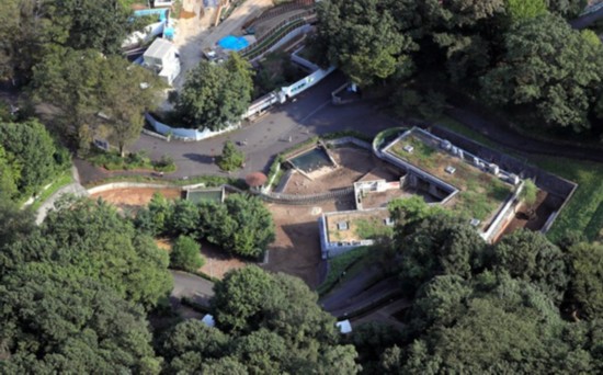 日本多摩动物园一饲养员遭犀牛袭击 惨死园内（图片来源：朝日新闻网站）