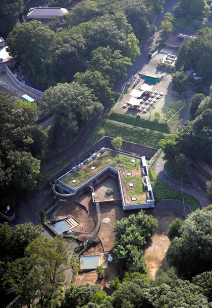 日本多摩动物园一饲养员遭犀牛袭击 惨死园内（图片来源：朝日新闻网站）