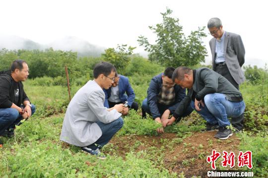 跨地区协作脱贫浙江长兴为结对村送去&ldquo;第二书记&rdquo;