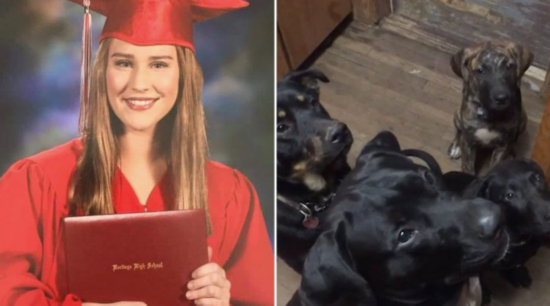 美国19岁女孩被5只犬围咬致死 1犬被射杀4犬安乐死