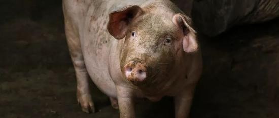 图片来源：摄图网（图文无关）