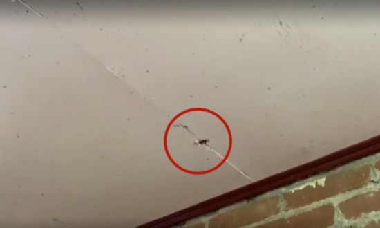  子弹直穿民宅天花板。（图源：台媒）