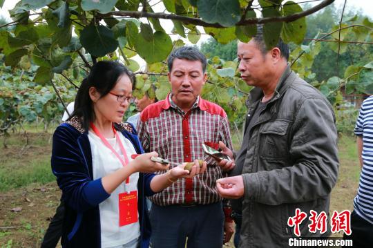 14名专家组团赴重庆一线为脱贫攻坚&ldquo;把脉问诊&rdquo;