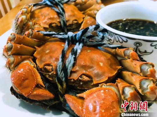 江苏三地大闸蟹产区：大批螃蟹&ldquo;上岸&rdquo;&ldquo;盛产&rdquo;致富&ldquo;蟹经&rdquo;