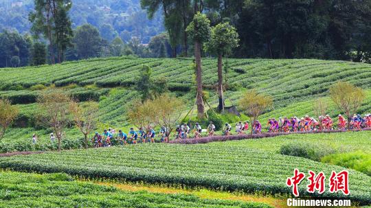 环中国自行车赛:雅安蒙顶山赛段吕先景登顶