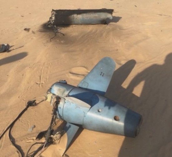 �罻ý���ϳ��ֵ�ɳ��ɳĮ�е������к��������Ż�������վ��