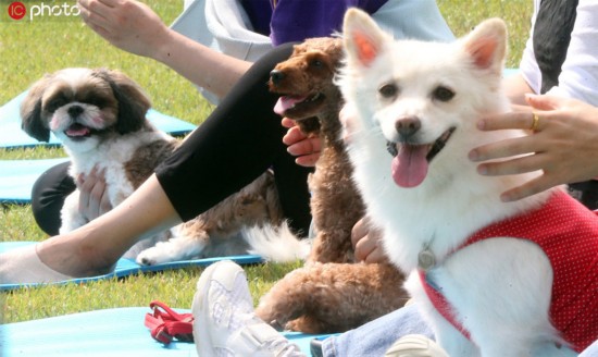 IC Photo版权作品，请勿转载。