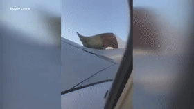 引擎盖在高空中“颤抖”，随时有脱落风险。（视频截图）