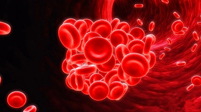 2019诺贝尔生理学奖;医学奖;认识生命