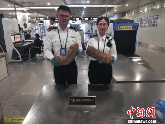 成都海关从埃塞俄比亚入境航班中截获10公斤山药