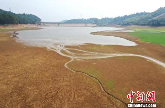 江西余江旱情见闻：水库&ldquo;瘦身&rdquo;农田喊&ldquo;渴&rdquo;（图）