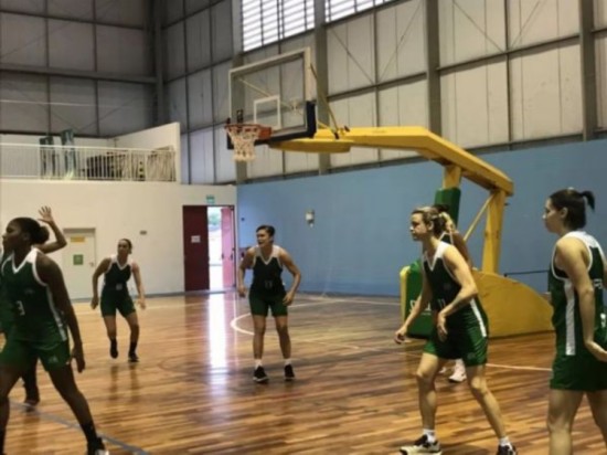 巴西代表团女篮比赛的队员们正在训练 新华社