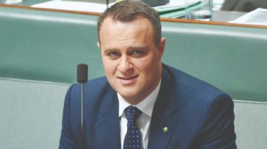  蒂姆&middot;威尔逊（资料图）