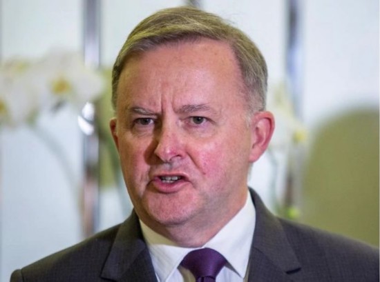  安东尼&middot;阿尔巴尼斯