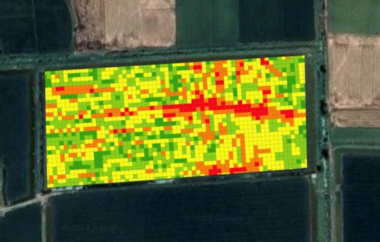 数据为轴 技术为轮 麦飞开启数字农业新格局