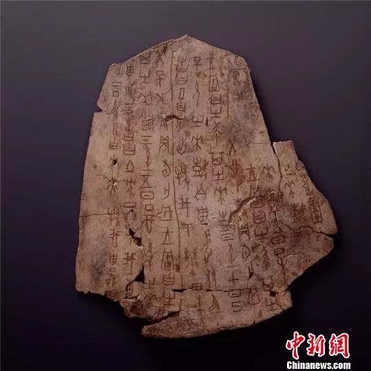 土方征涂朱卜骨刻辞,商,长22.5厘米,宽19厘米,中国国家博物馆藏。国家博物馆供图