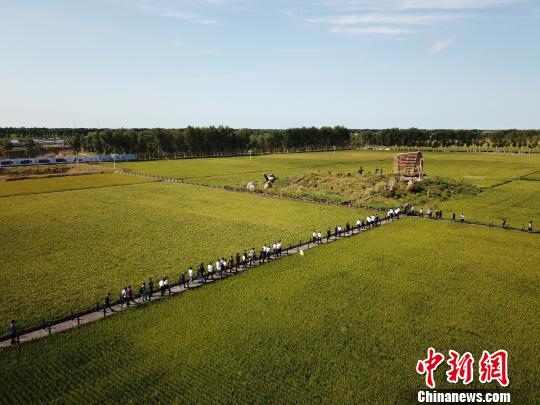 兴安盟打造&ldquo;稻花源&rdquo;：树立现代农业新标杆