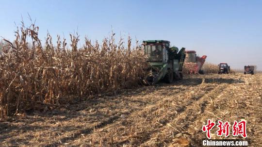 吉林启用卫星监测秸秆焚烧火点秸秆利用出新招