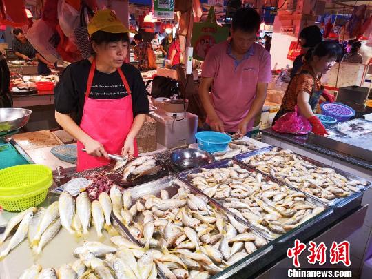 广东侨乡台山黄花鱼被分为&ldquo;仲仔&rdquo;和&ldquo;黄皮头&rdquo;