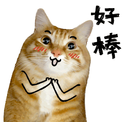 @盐城司机“学法免分”升级啦！6分任意组合、外地违法也能处理