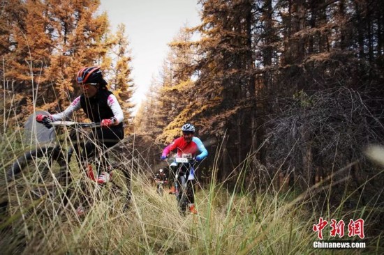  资料图：丛林骑行活动。（图文无关）