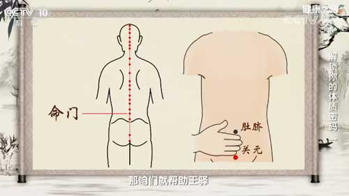 关元穴又被称为"扶阳第一要穴",可以辅助人体的阳气;命门穴温灸以后