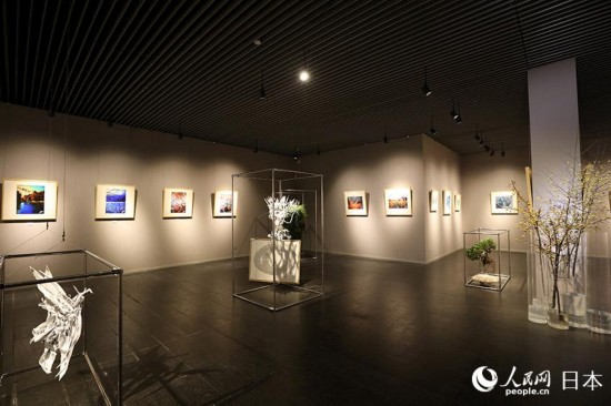 日本青年女画家山田夕香琳个人画展在上海举行