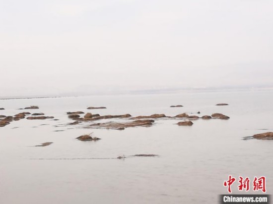 内蒙古第三大内陆湖岱海迎来&ldquo;生态向好&rdquo;