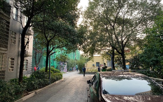  11月8日，长沙汇城上筑小区，9岁男童罗某在附近遇害。新京报记者 付子洋 摄