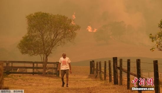 近日，在澳大利亚新南威尔士州和昆士兰州面临灾难性的火灾威胁之际，联邦防长雷诺兹正考虑动用强制军事命令，以帮助应对丛林火灾紧急情况。澳大利亚当局14日称，该国东部沿海地区一个星期来发生的大规模森林大火，已经造成第4人死亡。