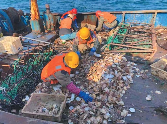 &acirc;&sup2;11&aelig;16&aelig;&yen;&iuml;&frac14;&ccedil;&aring;&shy;&aring;&sup2;&aring;&not;&aring;&cedil;&egrave;&aring;&middot;&yen;&aelig;&shy;&pound;&aring;&uml;&egrave;&sup1;&auml;&cedil;&ccedil;&deg;&aring;&ordm;&aring;&aelig;&pound;&aelig;&auml;&cedil;&aelig;&yen;&ccedil;&aelig;&egrave;&acute;&atilde;&aelig;&deg;&auml;&ordm;&not;&aelig;&yen;&egrave;&reg;&deg;&egrave; &eacute;&copy;&aelig;&sup2;&ccedil; &aelig;