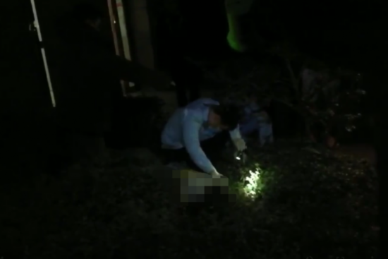 ↑事发现场 视频截图