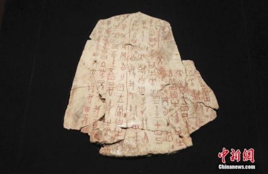 资料图:此前,“证古泽今——甲骨文文化展”在中国国家博物馆开幕。图为“土方征涂朱卜骨刻辞”。中新社记者 贾天勇 摄
