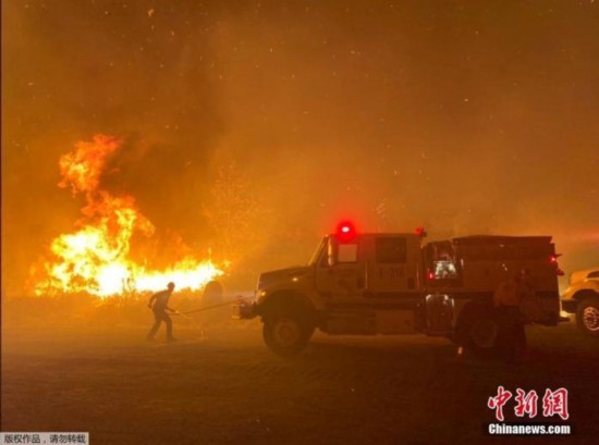 当地时间2019年11月25日，美国加州，洛斯帕德雷斯国家森林公园发生火灾，消防队员赶往现场灭火。