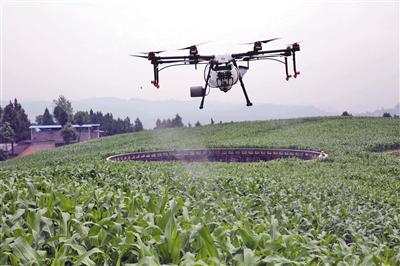6月7日，重庆云阳县农业农村委启动无人机，在凤鸣镇帮豪种业基地喷洒农药，防控草地贪夜蛾。资料图片/IC photo