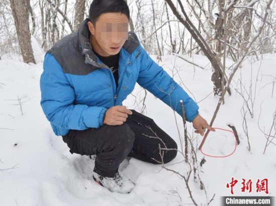 男子拒绝&ldquo;守株待兔&rdquo;满山撵兔入套自己却落法网