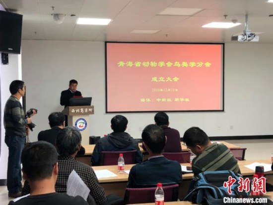 青海成立鸟类学专业机构促进观鸟与保护同步发展