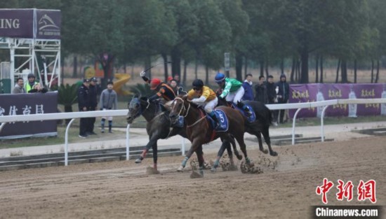2019武汉速度赛马公开赛收官共进行100场赛事