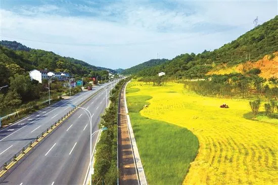 关于&ldquo;路长制&rdquo;，你了解多少？