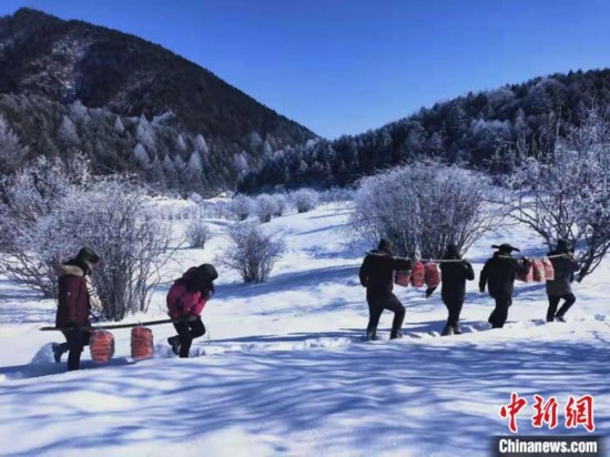 神农架国家公园:大规模人工补食助野生动物越冬