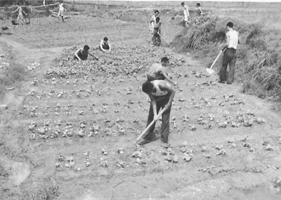 老照片 | 追寻&ldquo;雷锋故乡兵&rdquo;半世纪的守望