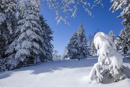 武汉战&ldquo;疫&rdquo;日记丨长这么大，我第一次成为您的骄傲