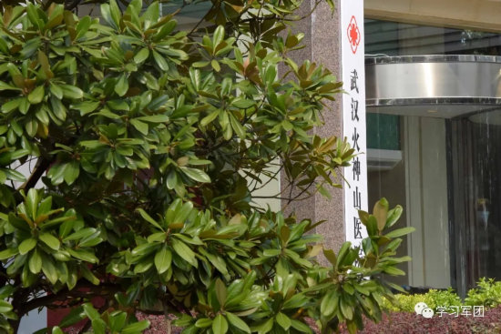 因为有你，我们在隔离病房&ldquo;遇见&rdquo;最美的春天&hellip;&hellip;