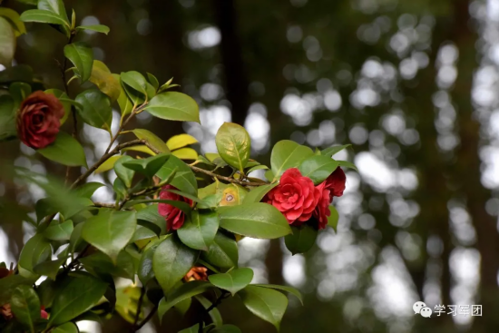 因为有你，我们在隔离病房&ldquo;遇见&rdquo;最美的春天&hellip;&hellip;