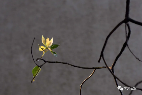 因为有你，我们在隔离病房&ldquo;遇见&rdquo;最美的春天&hellip;&hellip;