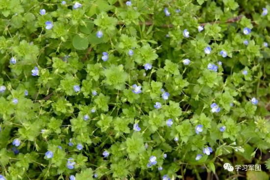 因为有你，我们在隔离病房&ldquo;遇见&rdquo;最美的春天&hellip;&hellip;