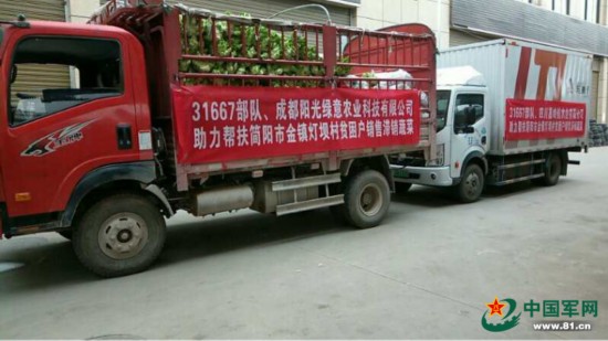 扶贫村滞销蔬菜上了部队餐桌，原因让人心头暖