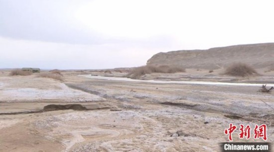 甘肃敦煌建疏勒河道绿色屏障保护生态安全