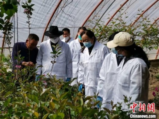 “牲畜守护人”阿保地：消除人畜共患病是终身奋斗目标