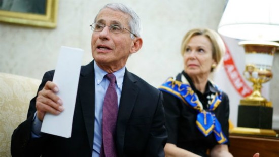 福奇和伯克斯(图源:Getty)